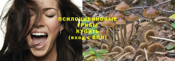хмурый Балахна