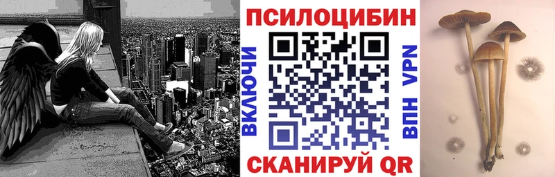 mega как зайти  Тутаев  Галлюциногенные грибы Magic Shrooms 